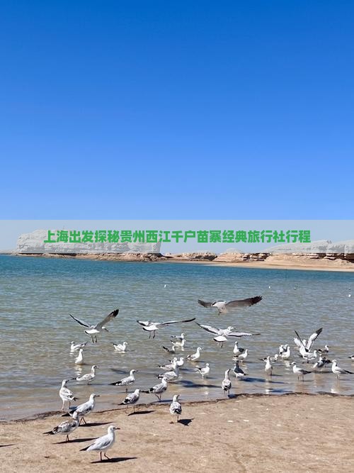 上海出发探秘贵州西江千户苗寨经典旅行社行程