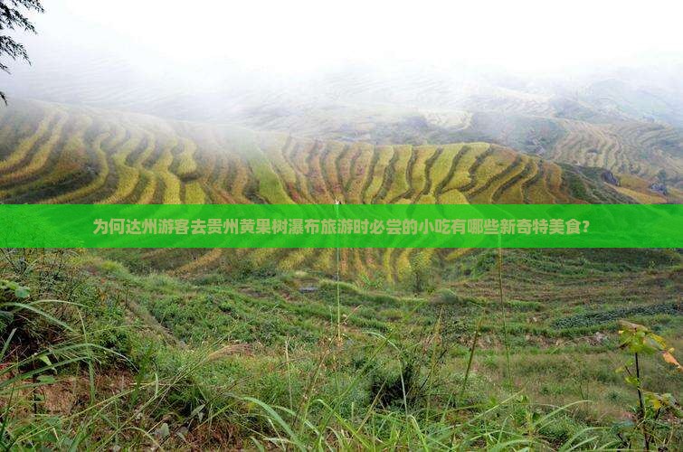 为何达州游客去贵州黄果树瀑布旅游时必尝的小吃有哪些新奇特美食？