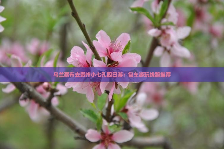 乌兰察布去贵州小七孔四日游：包车游玩线路推荐