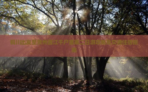 铜川出发至贵州西江千户苗寨二日游攻略及交通住宿指南