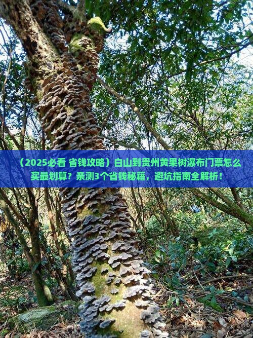 白山到贵州黄果树瀑布门票