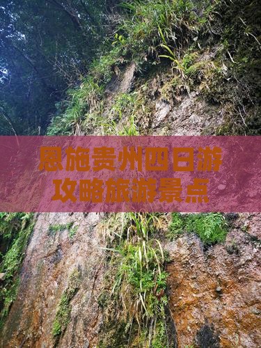 恩施去贵州四日游