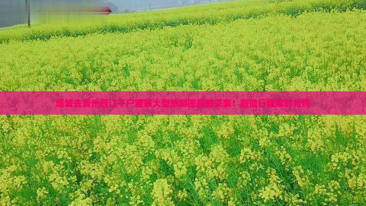 塔城去贵州西江千户苗寨大型旅游团 塔城去贵州西江千户苗寨大型旅游团