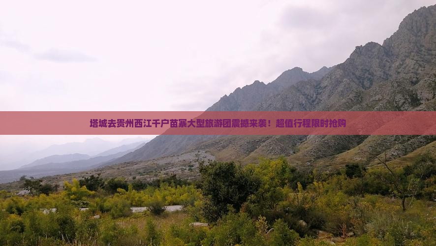 塔城去贵州西江千户苗寨大型旅游团 塔城去贵州西江千户苗寨大型旅游团