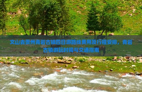 文山去贵州青岩古镇四日游