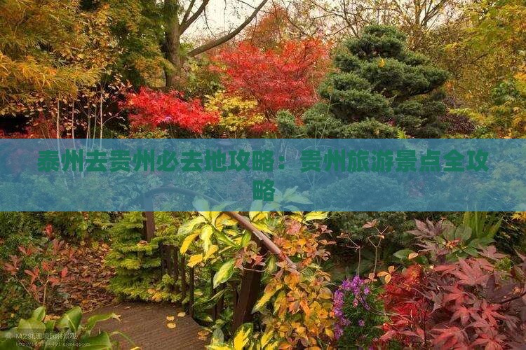 泰州去贵州必去地