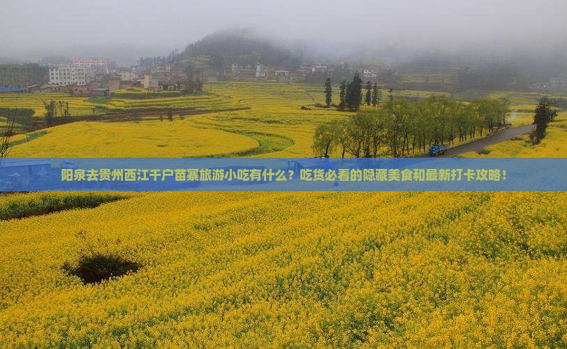 阳泉去贵州西江千户苗寨旅游小吃