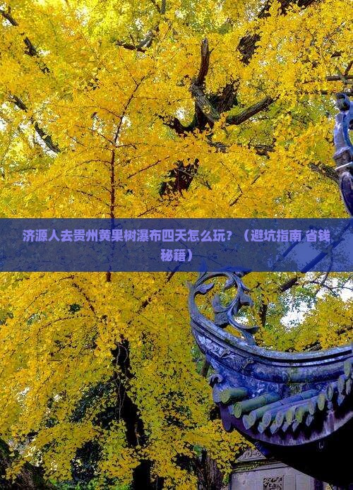 济源去贵州黄果树瀑布四日游