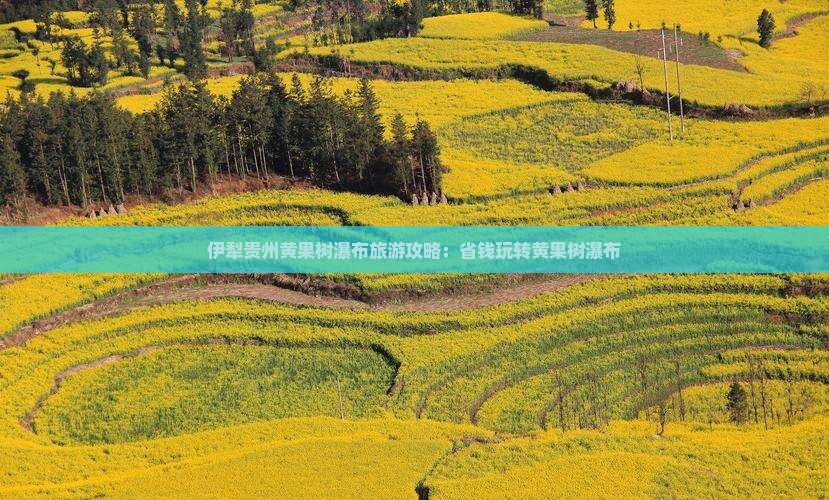伊犁去贵州黄果树瀑布哪里玩