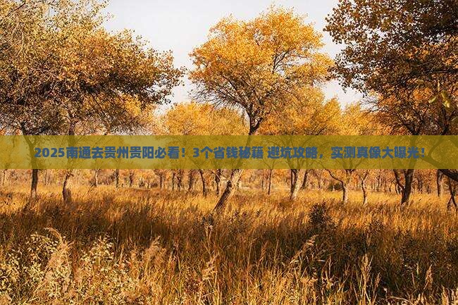 南通到贵州贵阳旅行社