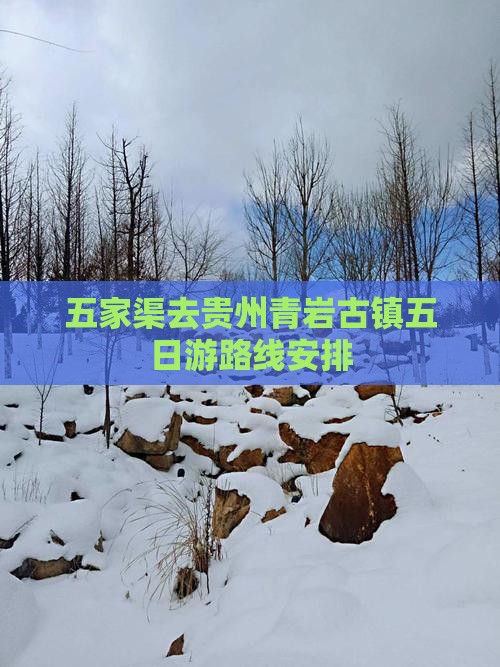 五家渠去贵州青岩古镇五日游