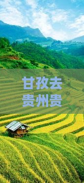 甘孜去贵州贵阳门票