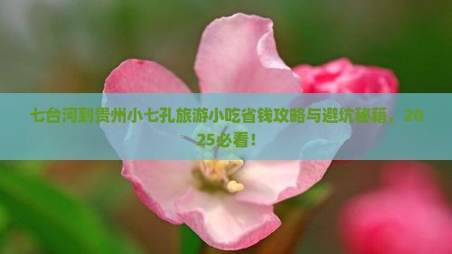 七台河到贵州小七孔旅游小吃