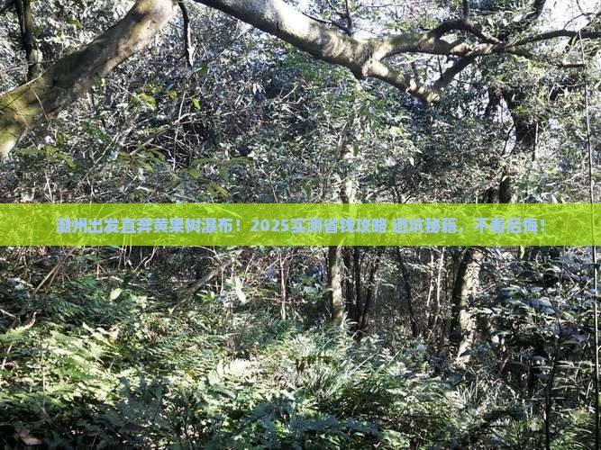 潮州到贵州黄果树瀑布旅行社