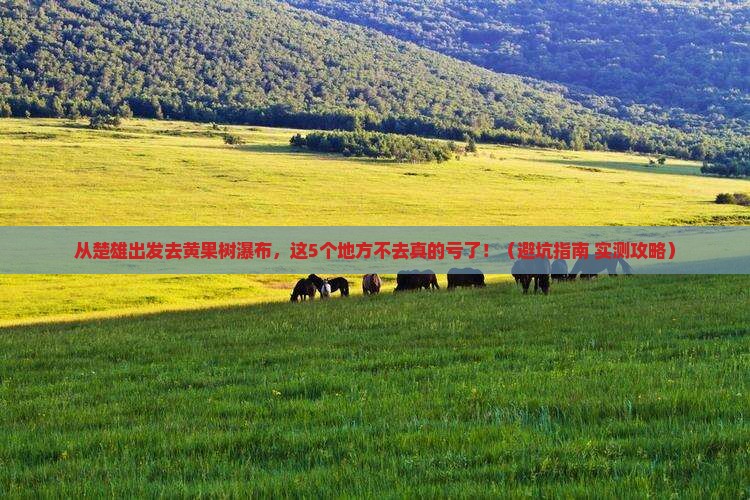 楚雄到贵州黄果树瀑布必去地