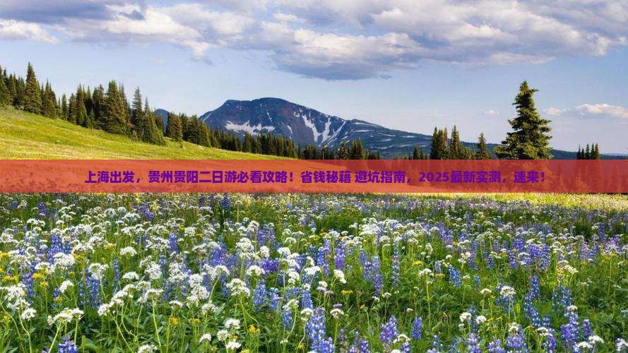 上海到贵州贵阳二日游