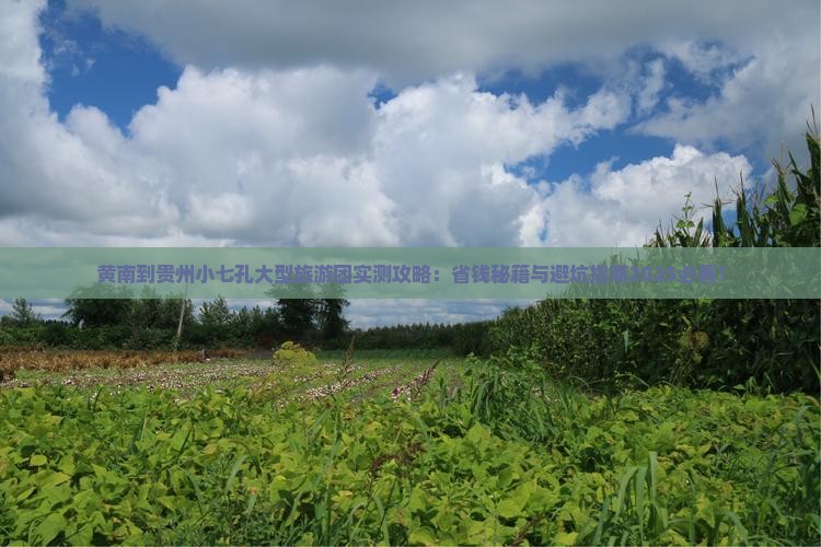 黄南到贵州小七孔大型旅游团