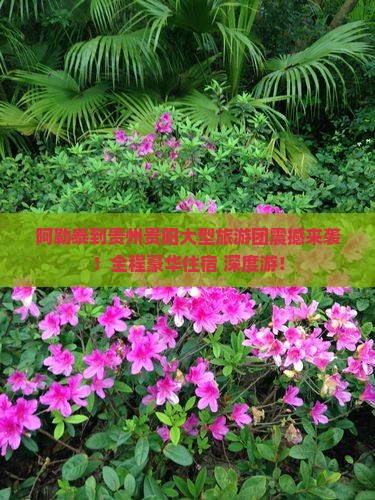 阿勒泰到贵州贵阳大型旅游团