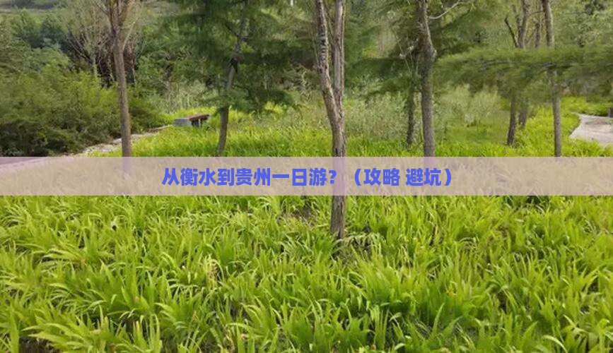 衡水到贵州一日