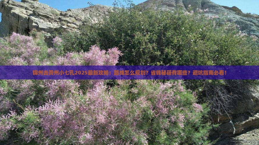 锦州去贵州小七孔攻略