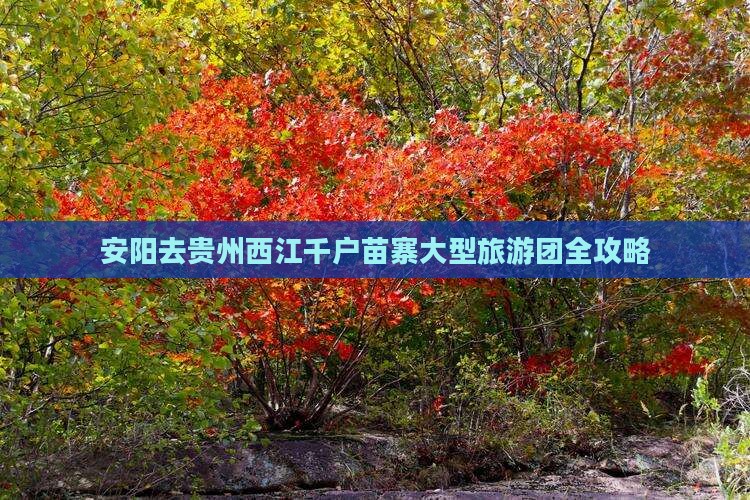 安阳去贵州西江千户苗寨大型旅游团