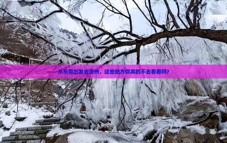 从东莞出发去贵州，这些地方你真的不去看看吗？