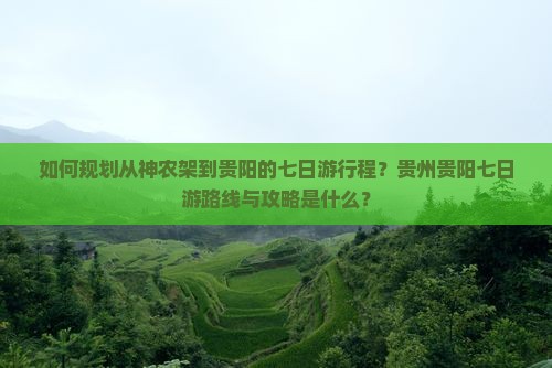 如何规划从神农架到贵阳的七日游行程？贵州贵阳七日游路线与攻略是什么？