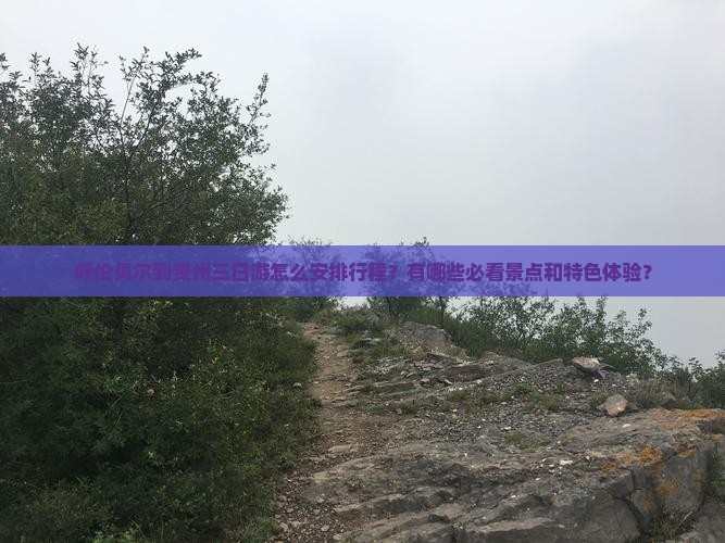 呼伦贝尔到贵州三日游怎么安排行程？有哪些必看景点和特色体验？