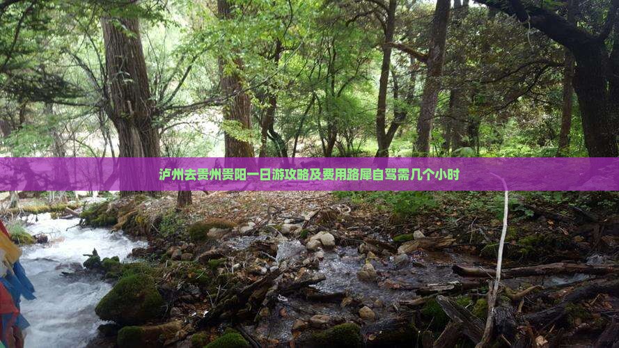 泸州去贵州贵阳一日游攻略及费用路犀自驾需几个小时