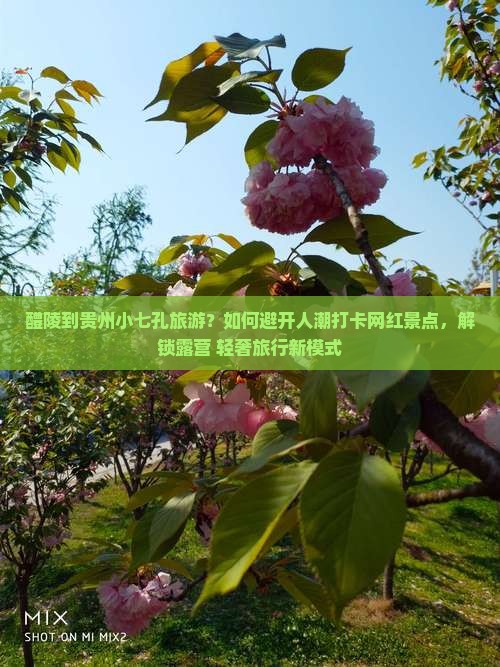 醴陵到贵州小七孔旅游？如何避开人潮打卡网红景点，解锁露营+轻奢旅行新模式