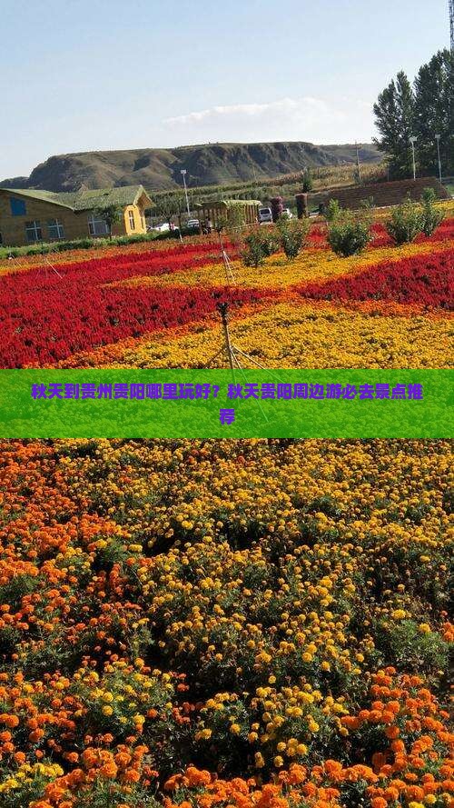 秋天到贵州贵阳哪里玩好？秋天贵阳周边游必去景点推荐