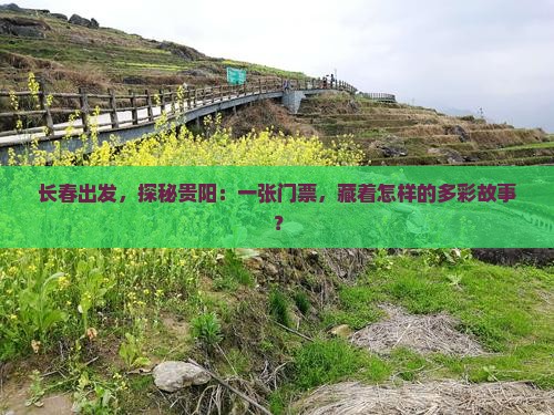 长春出发，探秘贵阳：一张门票，藏着怎样的多彩故事？