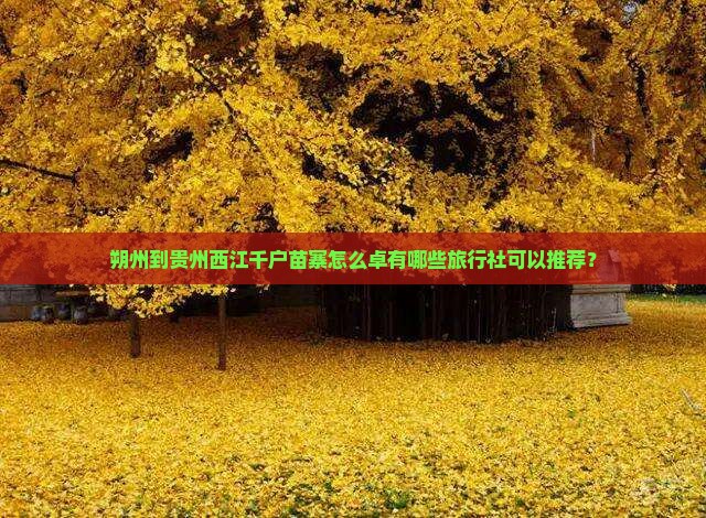 朔州到贵州西江千户苗寨怎么卓有哪些旅行社可以推荐？