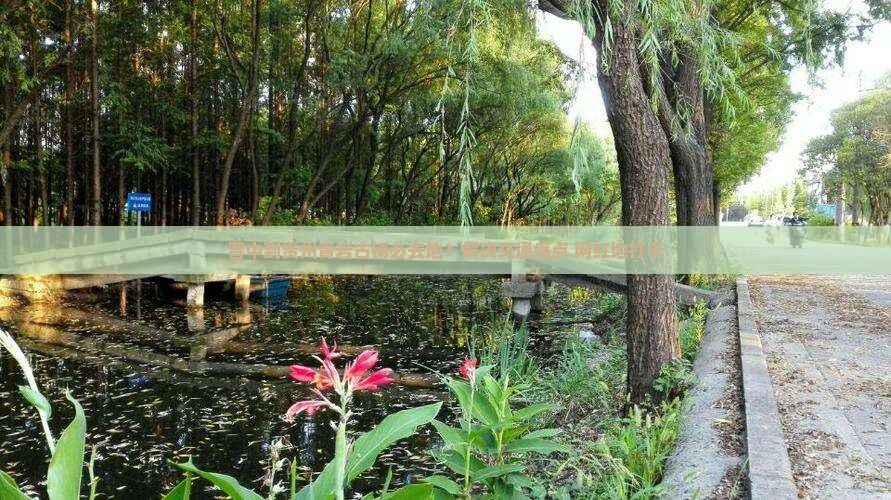 晋中到贵州青岩古镇必去地？解决交通痛点+网红地打卡