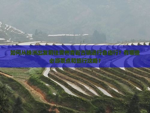 如何从株洲出发前往贵州青岩古镇进行自由行？有哪些必游景点和旅行攻略？