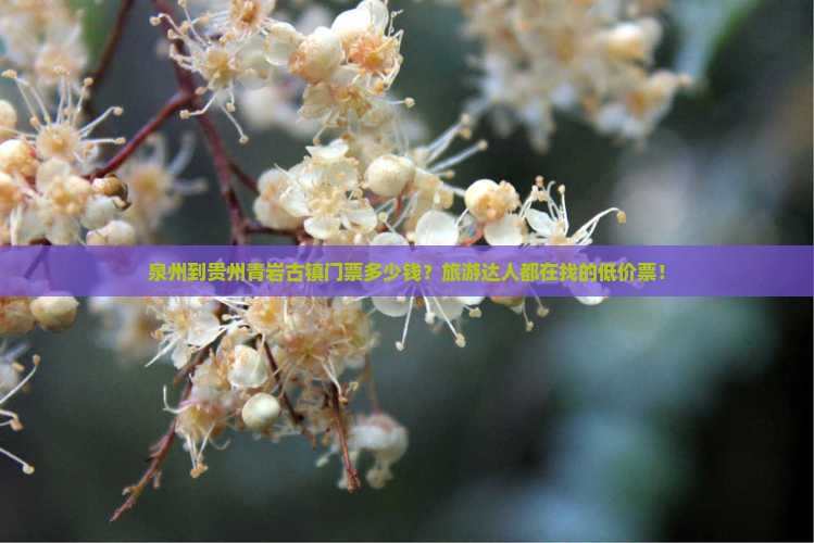 泉州到贵州青岩古镇门票多少钱？旅游达人都在找的低价票！