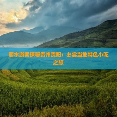丽水游客探秘贵州贵阳：必尝当地特色小吃之旅