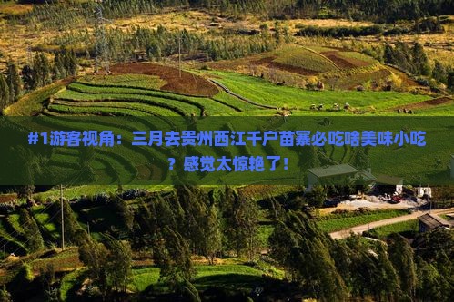 #1游客视角：三月去贵州西江千户苗寨必吃啥美味小吃？感觉太惊艳了！