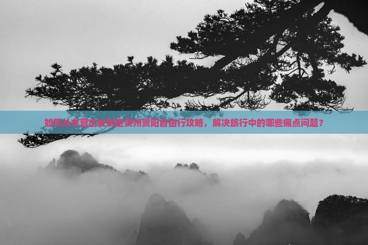如何从东营出发制定贵州贵阳自由行攻略，解决旅行中的哪些痛点问题？