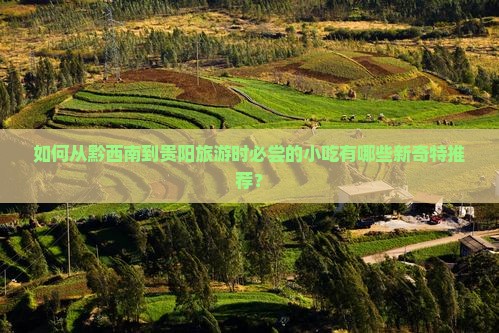如何从黔西南到贵阳旅游时必尝的小吃有哪些新奇特推荐？