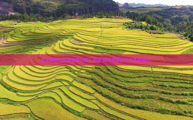 遵义到贵州贵阳旅游小吃？高铁+网红美食打卡地不容错过！