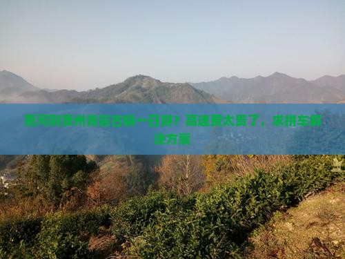 黑河到贵州青岩古镇一日游？高速费太贵了，求拼车解决方案