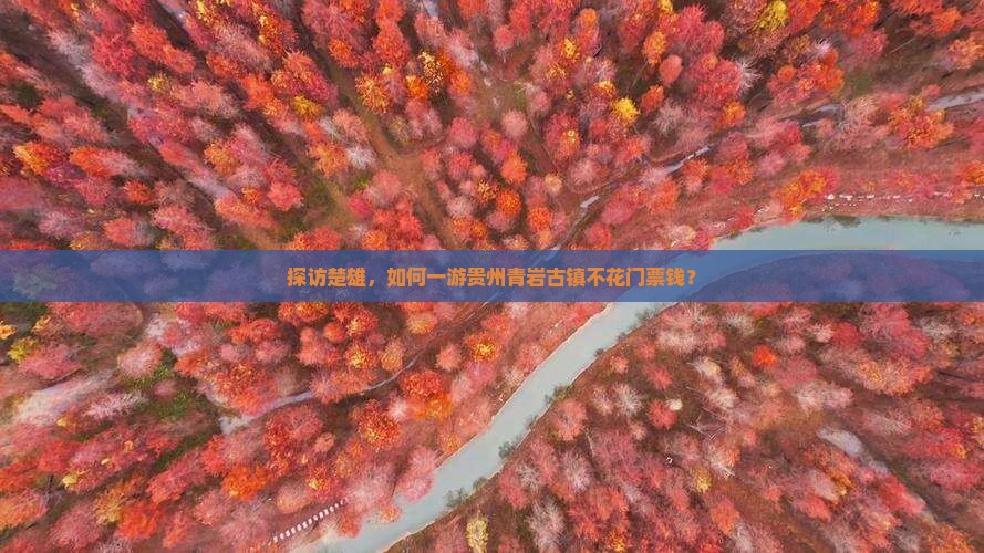 探访楚雄，如何一游贵州青岩古镇不花门票钱？