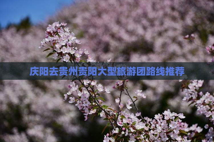 庆阳去贵州贵阳大型旅游团路线推荐