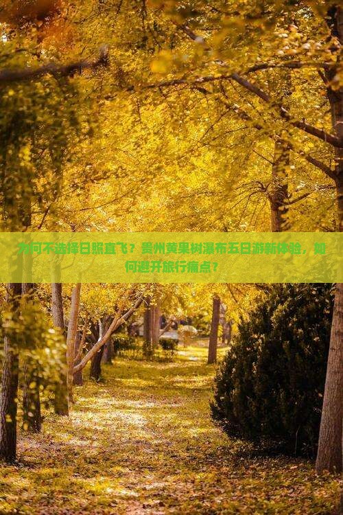 为何不选择日照直飞？贵州黄果树瀑布五日游新体验，如何避开旅行痛点？