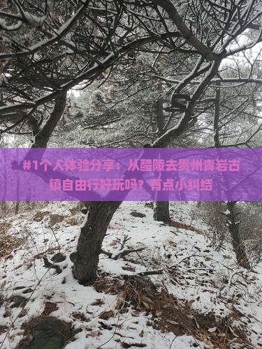 #1个人体验分享：从醴陵去贵州青岩古镇自由行好玩吗？有点小纠结