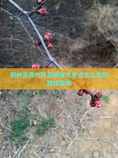 荆州去贵州黄果树瀑布景点怎么走及路线指南