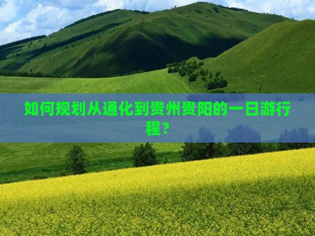 如何规划从通化到贵州贵阳的一日游行程？