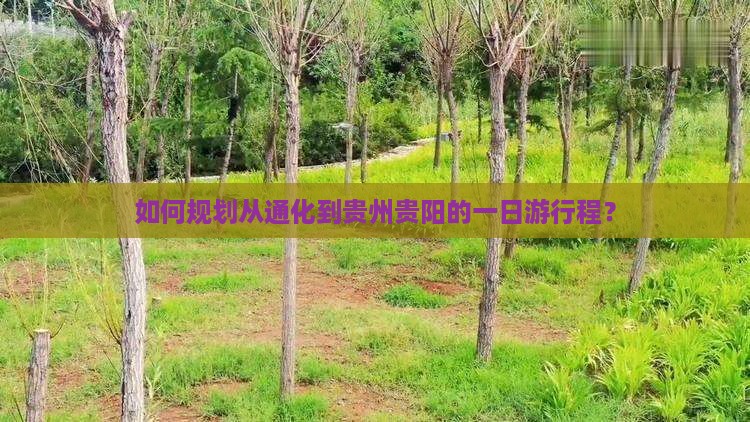 如何规划从通化到贵州贵阳的一日游行程？