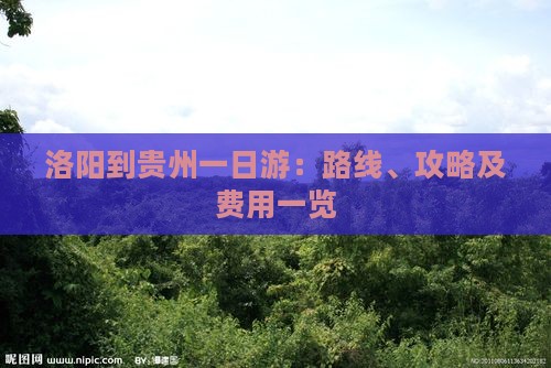 洛阳到贵州一日游：路线、攻略及费用一览